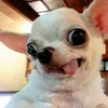 user11441166