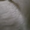 user2125655781814
