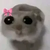 niki_explorer