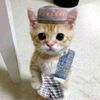 user2315013201297