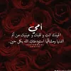 user6251836233395