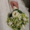 wasefa_12