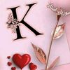 user8038304112616