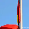 hng9956