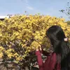 nhinhinhi.com