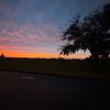 sophie_18842