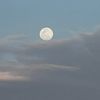 zmao_11
