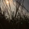 llniu08