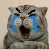 kenhthethao3