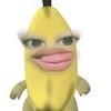 lidysaput