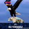 romanmkrtchyan986
