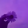 viozella