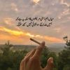 punjabimundy47