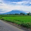 🌿Alam Priangan🌿
