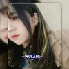 wull44n