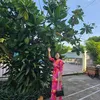 photudang