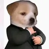 theanh2932