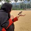 bundo.wiwi