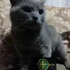 nikitaluuuui