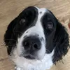 funnyfreyy123