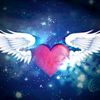 tomket_5li