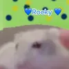 rocky_twerkbitch