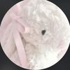 kurly_fries5