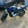 florianogomes257