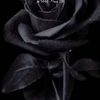 user5856312077