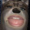 queefburglarr69_