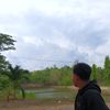 fdill__15