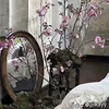 usertrang321