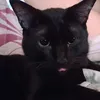 imvizy04