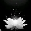 hy.gi.tui.l.b