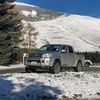 tannerprice659