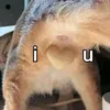 hlkfkingshit
