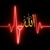 muhammed.abu.hamza