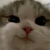 nxrstt_qqxp