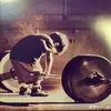 skwkkwksksu77882