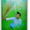 naeem.farhan