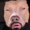 joeledelbue