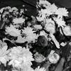 mirzth09_