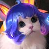 angel.spprt