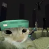 ch6s__