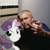 streice_