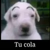 bananacondulcedeleche23
