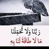 rayhan___jan