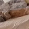 user9fntanfcd2