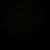 nitay486