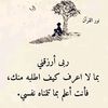 zouleikha_hadeyde